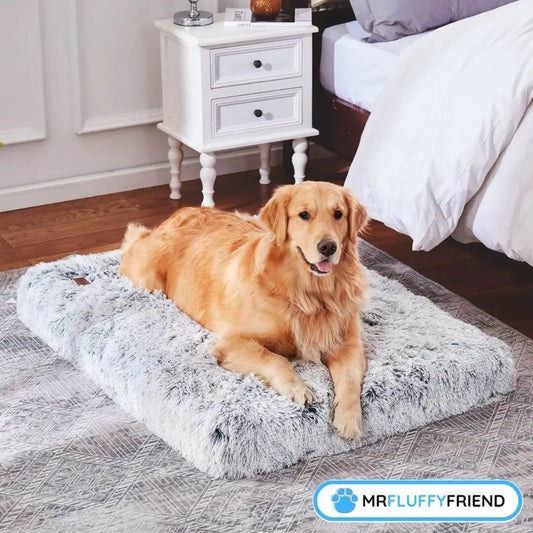 Imagen principal para un blog sobre la mejor cama para perros mayores con artritis: un golden retriever acostado en una almohada ortopédica gris suave y mullida.