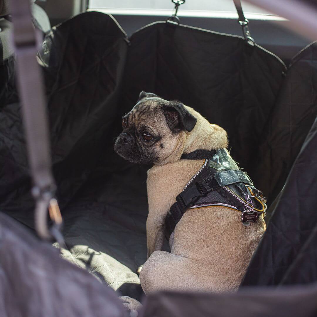 MrFluffyFriend - Funda Para Asiento De Coche Para Perros (Asiento Trasero)