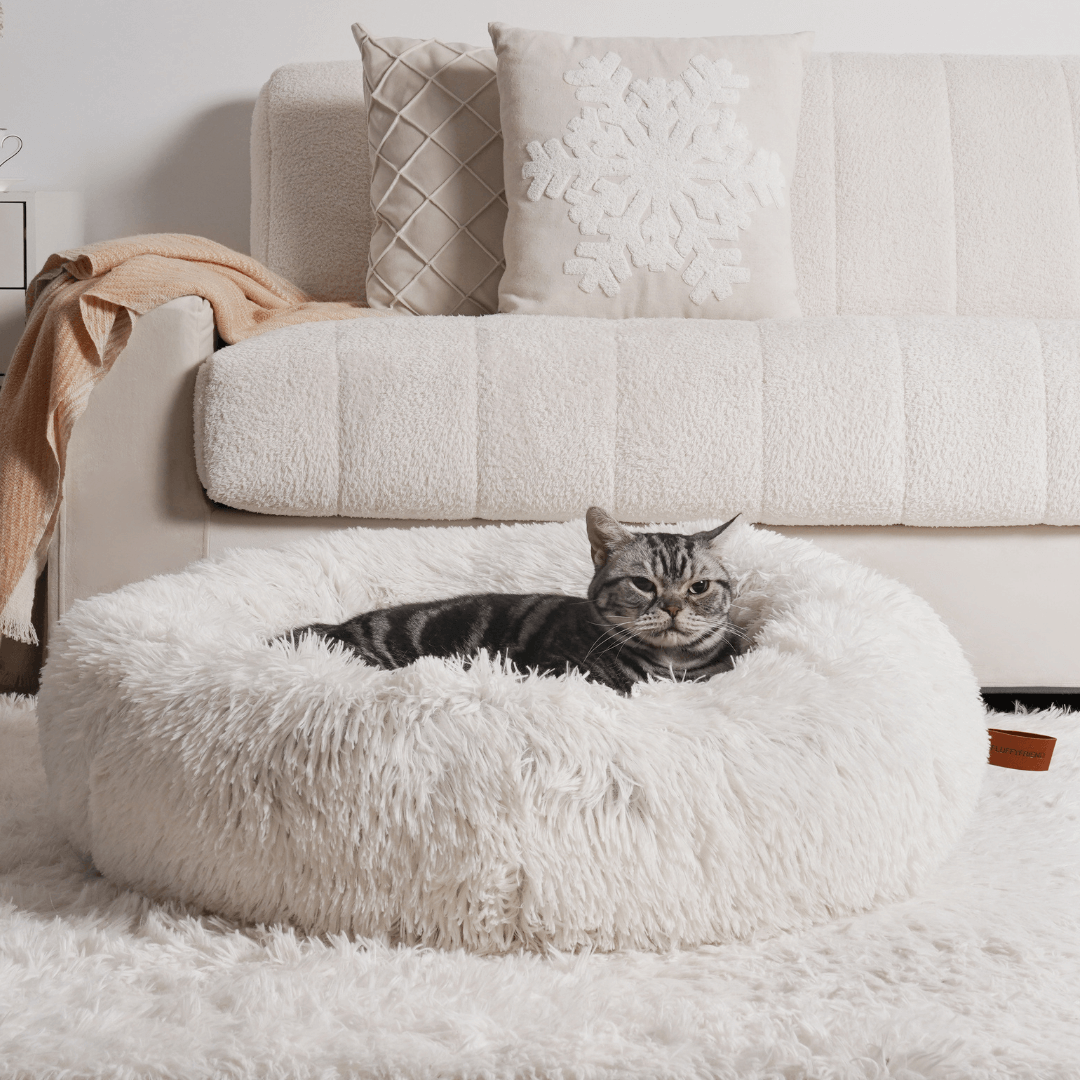 MrFluffyFriend - La Mejor Cama Terapéutica Para Gatos