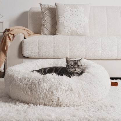 MrFluffyFriend - La Mejor Cama Terapéutica Para Gatos