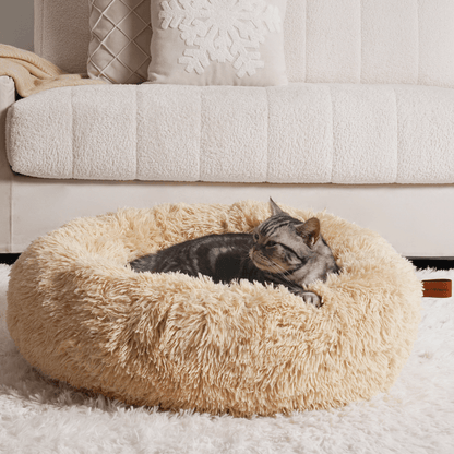 MrFluffyFriend - La Mejor Cama Para Gatos Para Aliviar La Ansiedad