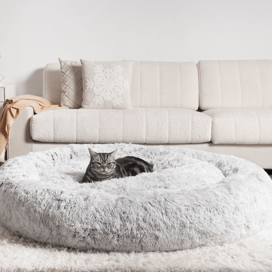 MrFluffyFriend - Las Mejores Camas Para Gatos Para Aliviar La Ansiedad
