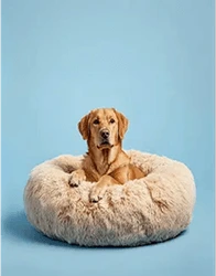 Photo of Cama antiestrés para perros