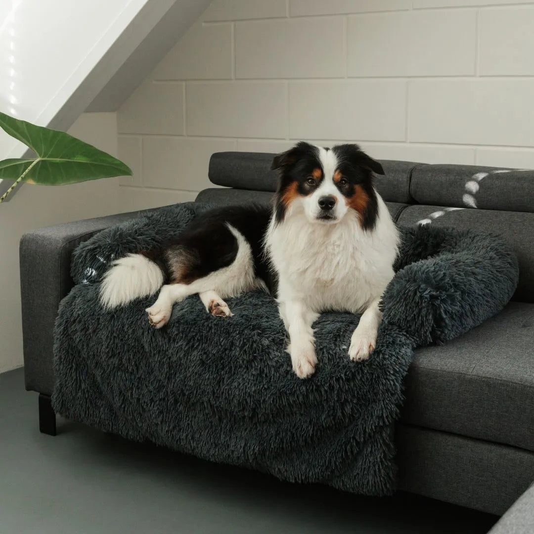 MrFluffyFriend - La Mejor Funda De Sofá Para Perros