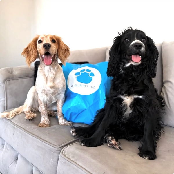 Cómo desembalar y cuidar tu producto MrFluffyFriend 🐾