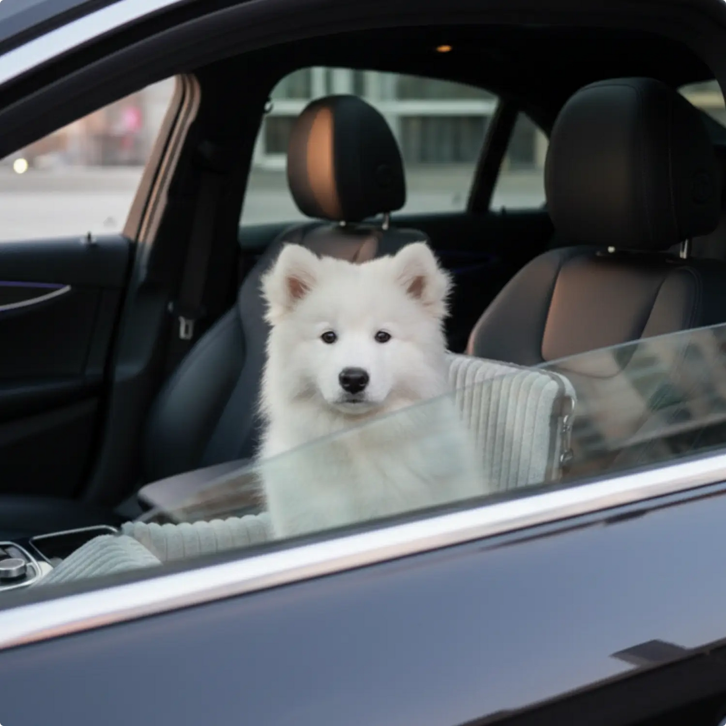 MrFluffyFriend™ - Asiento de Coche para Perros Seguro y Cómodo