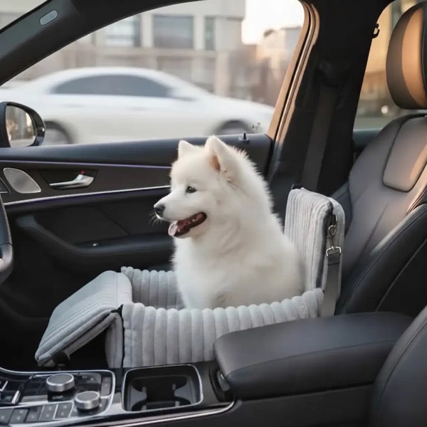 Haz que cada viaje en coche sea seguro y cómodo para tu perro