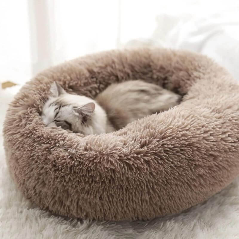 MrFluffyFriend - Cama Para Gatos Sin Estrés