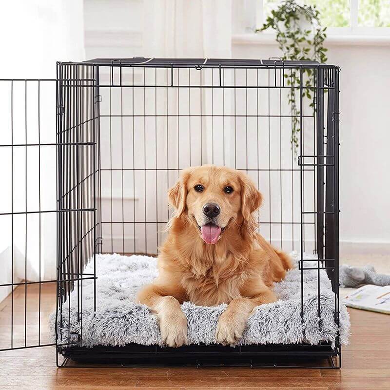 MrFluffyFriend - Almohada Ortopédica Para Perros De Razas Medianas